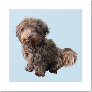 Cute Havanese Dog Posters and Art